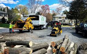 Best Firewood Processing and Delivery  in Warroad, MN